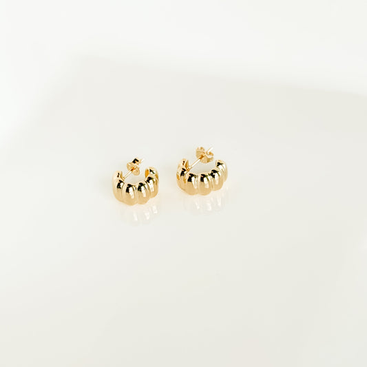Scalloped Stud Hoop Earring