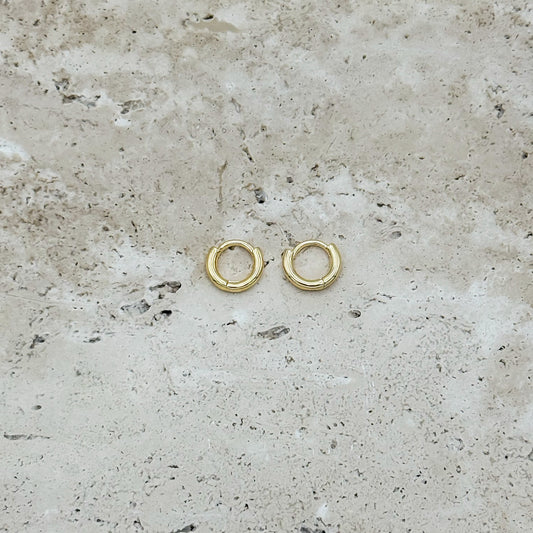 Sutton Small Huggie Earring