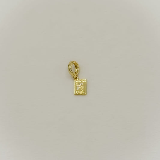 Passport Charm