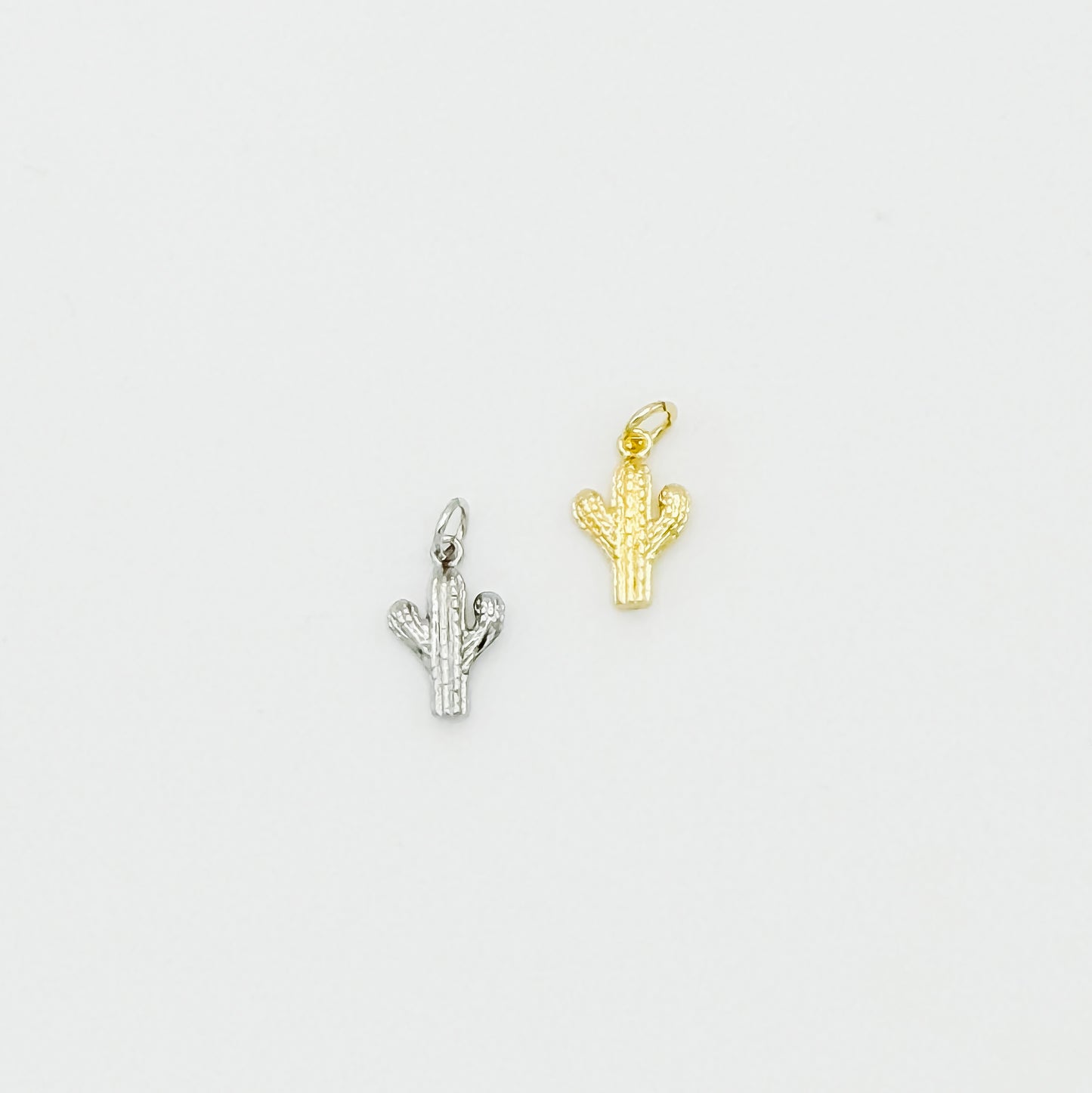 Cactus Charm