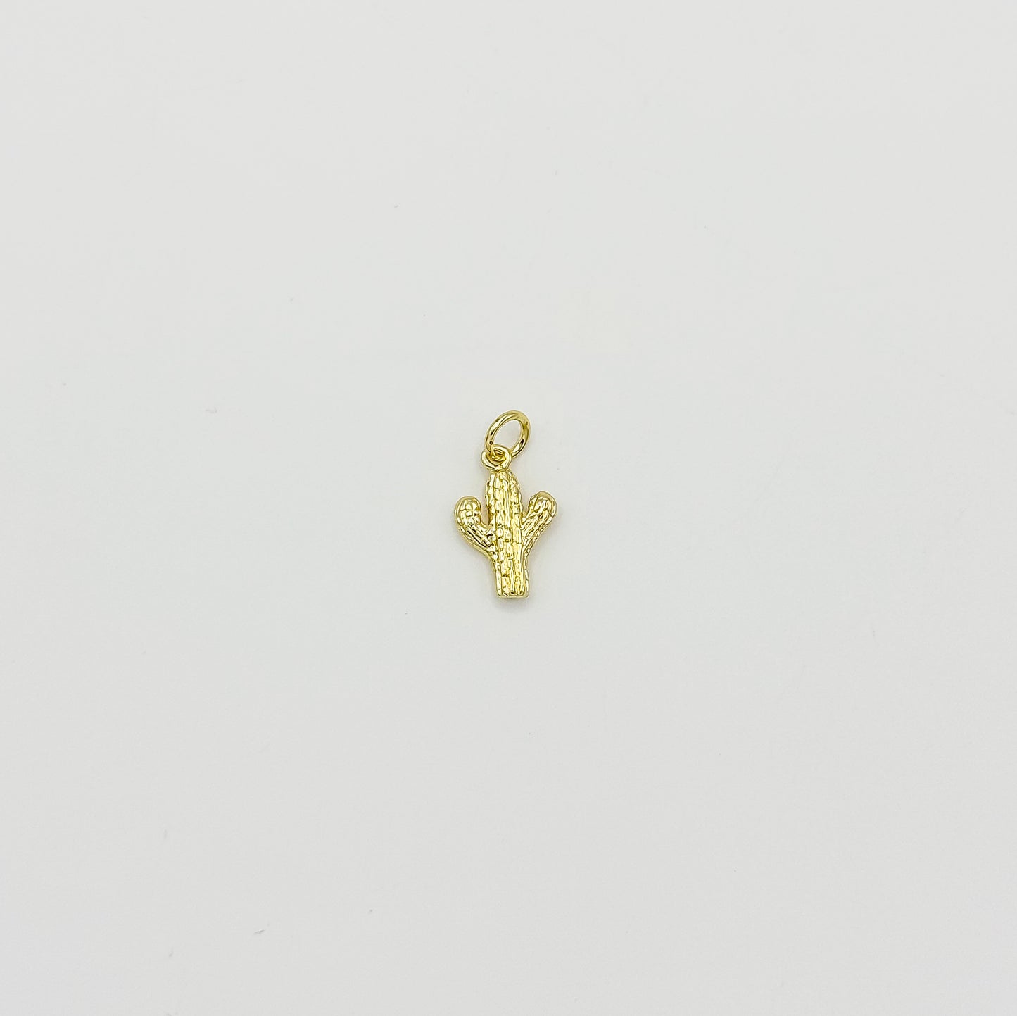 Cactus Charm