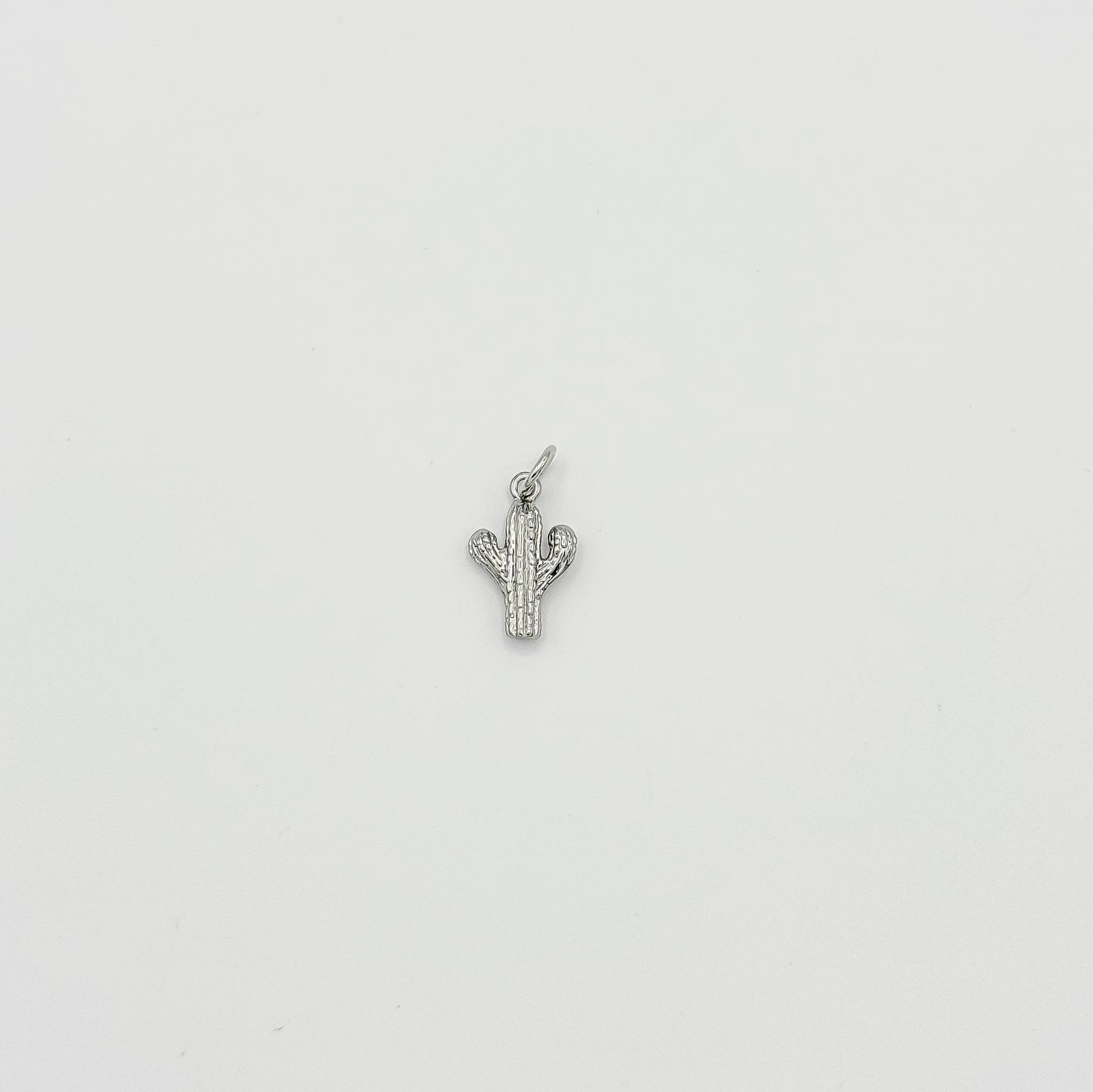 Cactus Charm